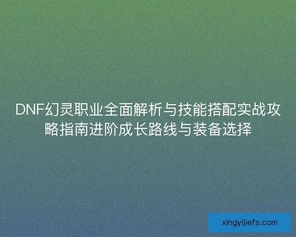 DNF幻灵职业全面解析与技能搭配实战攻略指南进阶成长路线与装备选择